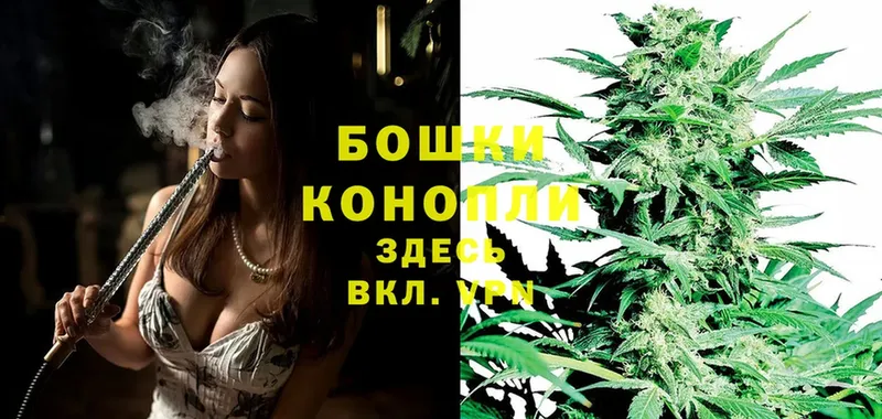 Конопля OG Kush  продажа наркотиков  Качканар 